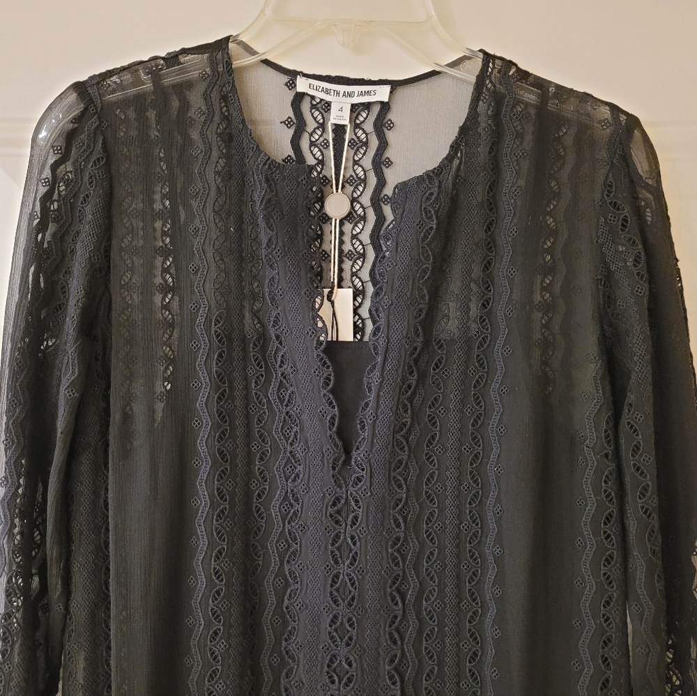Elizabeth & James Black Embroidered Silk Georgette Mia Maxi Dress - Picture 3 of 11